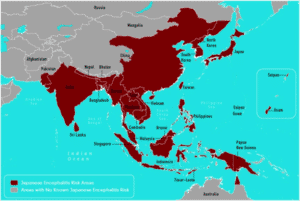 Japanese Bourne Encephalitis Across The World